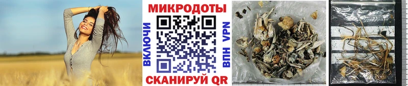 Псилоцибиновые грибы ЛСД Якутск